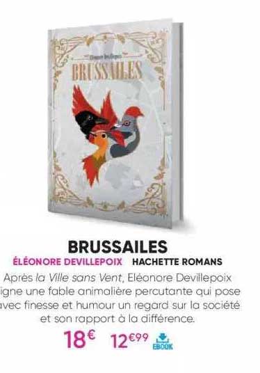 brussailes - éléonore devillepoix - hachette romans