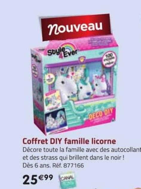 coffret diy famille licorne canal toys