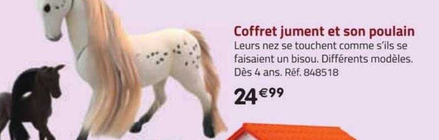 coffret jument et son poulain