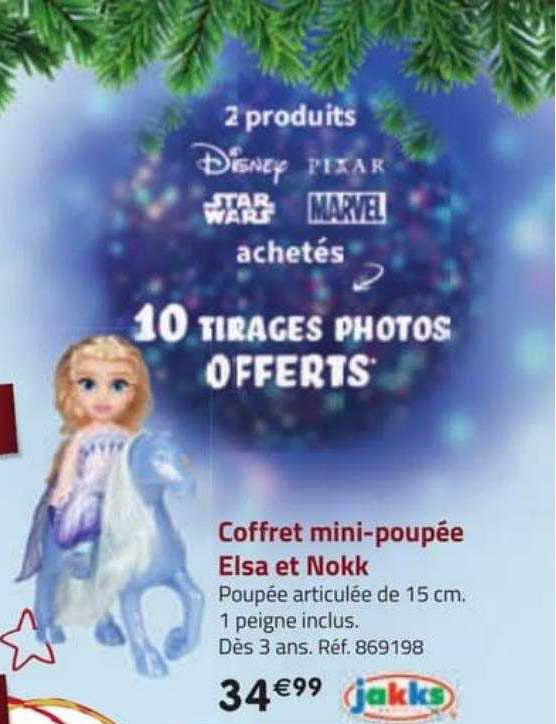 coffret mini-poupée elsa et nokk jakks