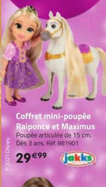 coffret mini-poupée raiponce et maximus jakks