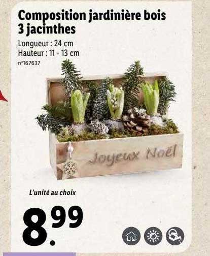 Composition Jardinière Bois 3 Jacinthes