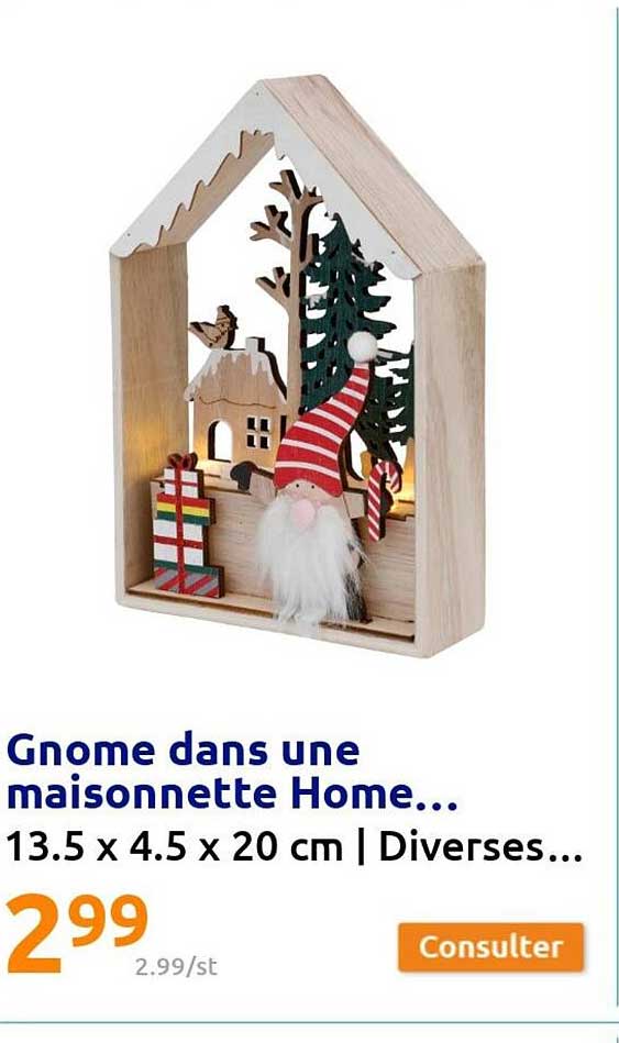 gnome dans une maisonnette home
