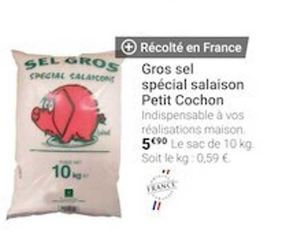 gros sel spécial salaison petit cochon