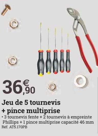 jeu de 5 tournevis + mince multiprise