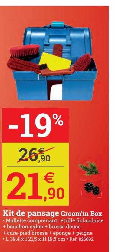 kit de pansage groom'in box
