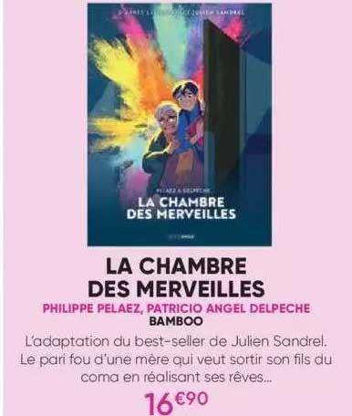 la chambre des merveilles - philippe pelaez, patricio angel delpêche bamboo
