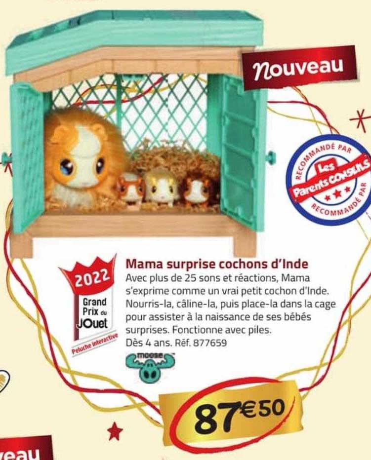 mama surprise cochons d'inde