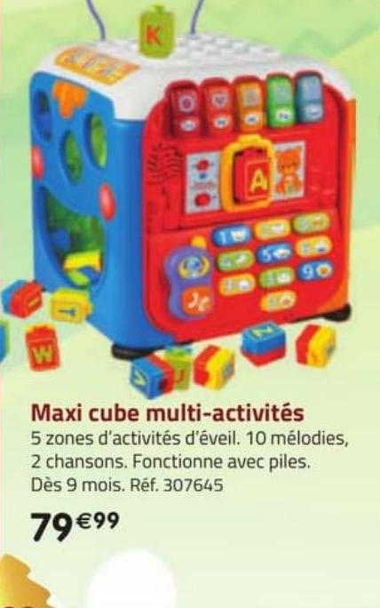 maxi cube multi-activités