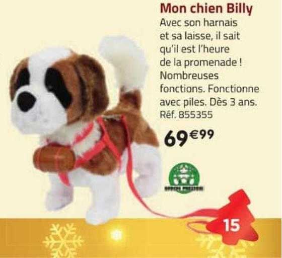 mon chien billy