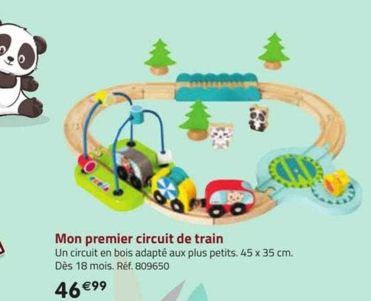 mon premier circuit de train