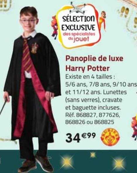 panoplie de luxe harry potter