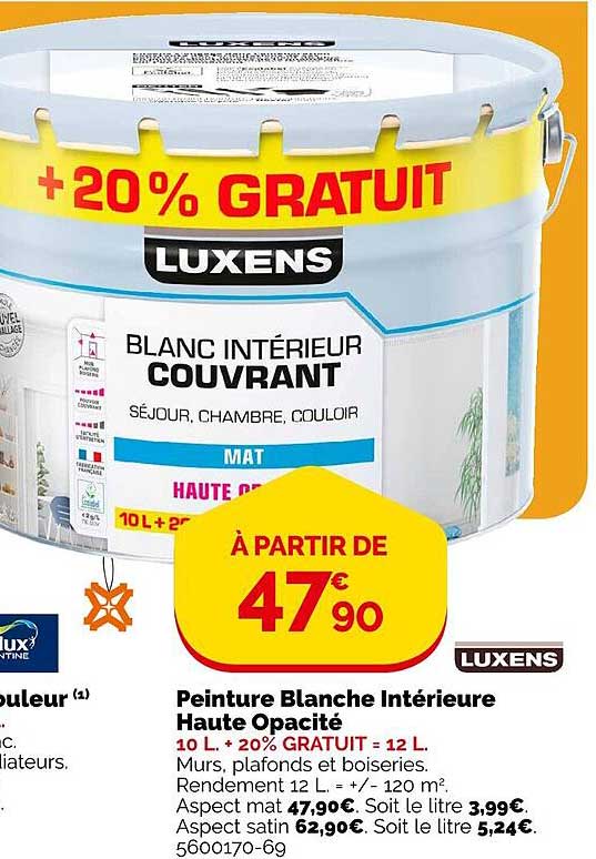 peinture blanche intérieure haute opacité luxens