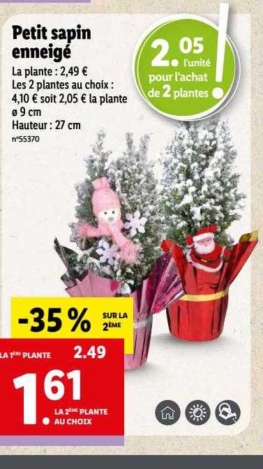 petit sapin enneigé