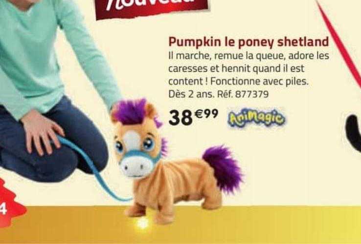 pumpkin le poney shetland animagic