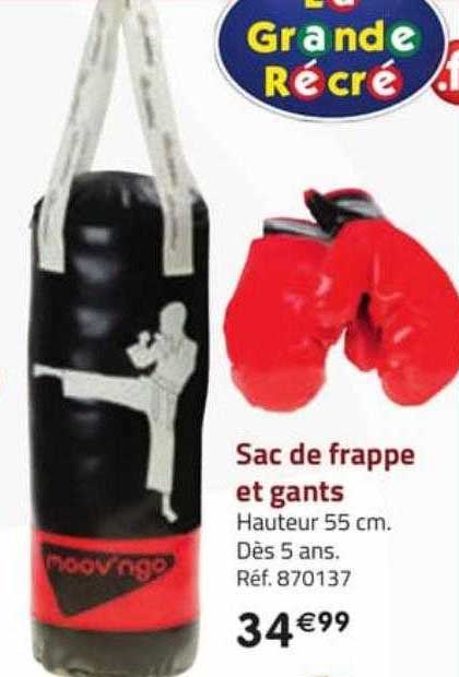 sac  de frappe et gants moov'ngo