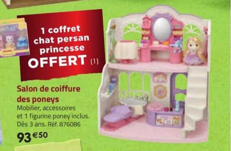 salon de coiffure des poneys