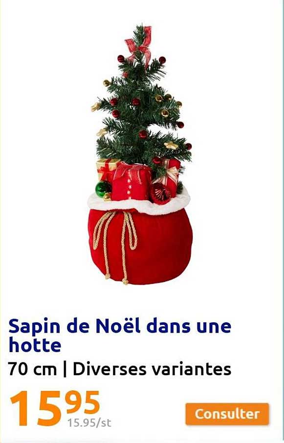 sapin de noël dans une hotte