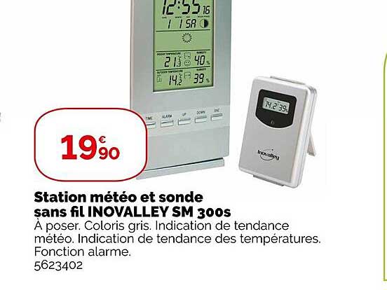 station météo et sonde sans fil inovalley sm 300s