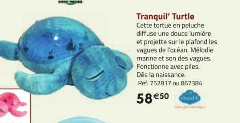 tranquil' turtle