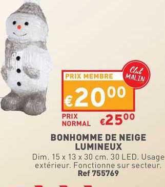 bonhomme de neige lumineux