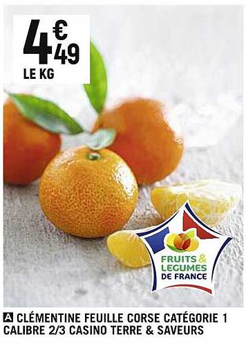 Clémentine Feuille Corse Terre & Saveurs