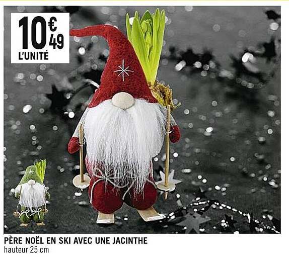 père noël en ski avec une jacinthe