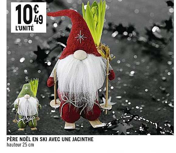 père noël en ski avec une jacinthe