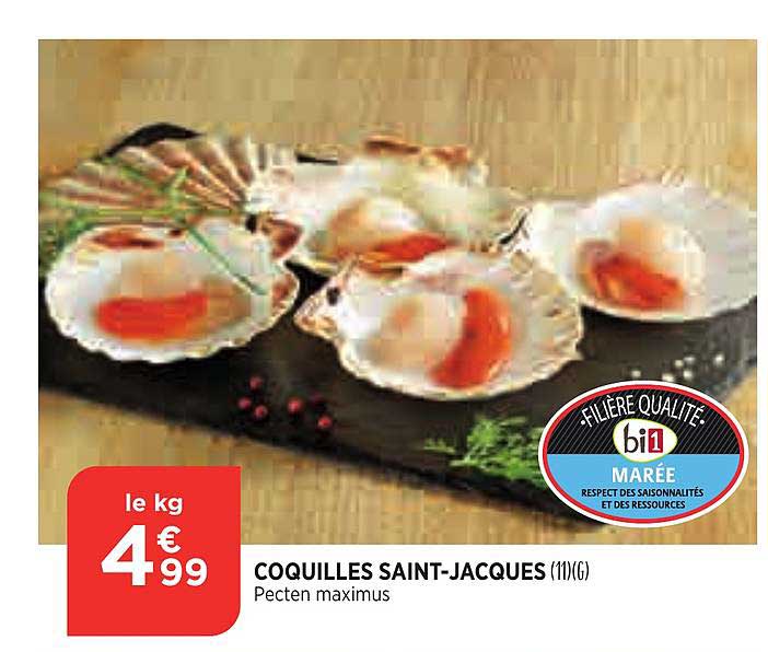 coquilles saint-jacques bi1