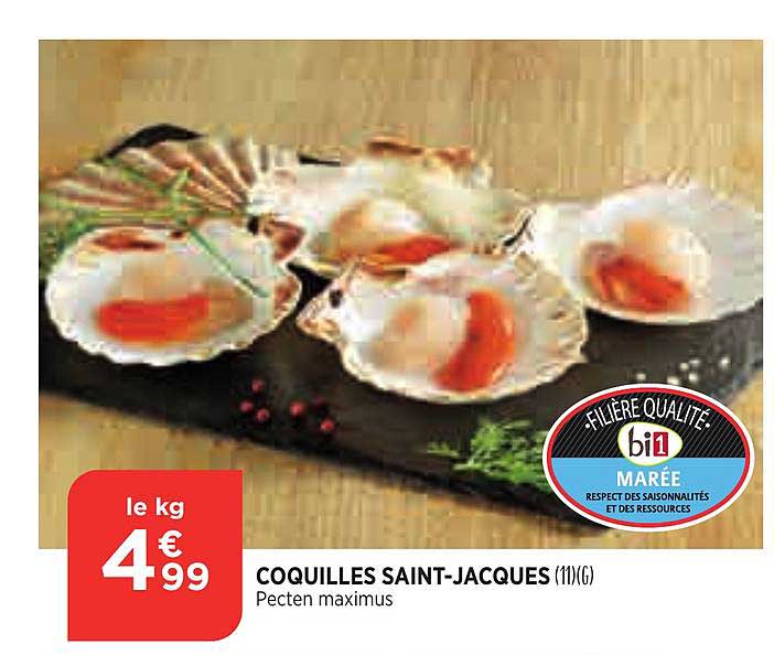 marée : coquilles saint-jacques