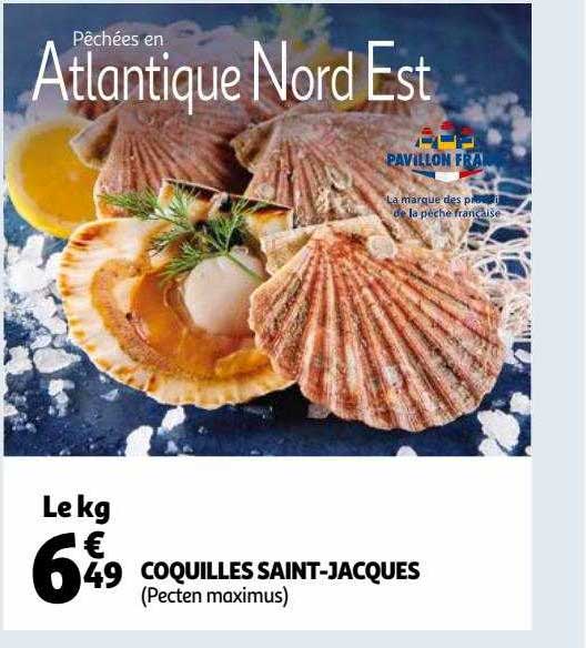 coquilles saint-jacques