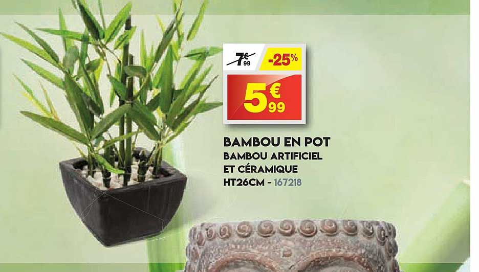 Bambou En Pot