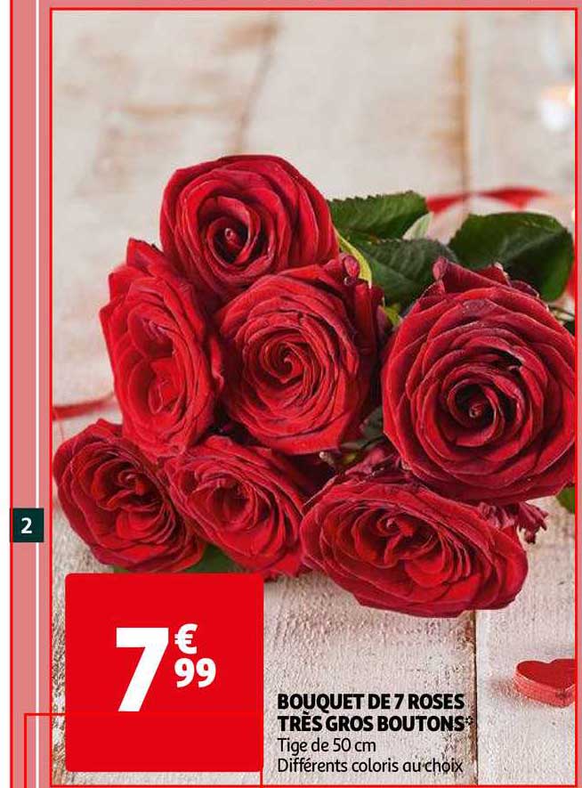 bouquet de 7 roses très gros boutons