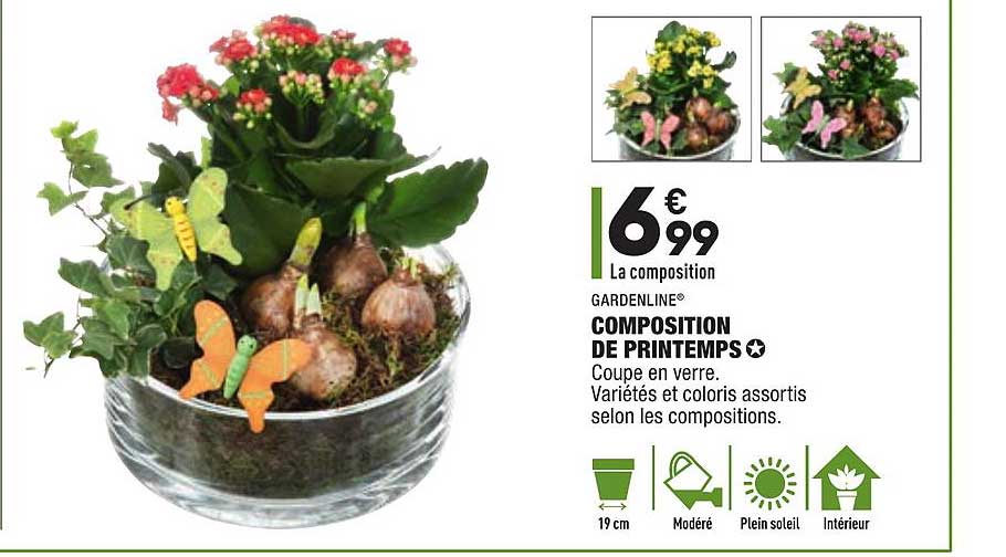 Composition De Printemps Gardenline