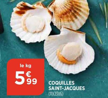 coquilles saint-jacques