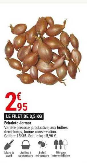 échalote jermor