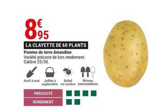 Pomme De Terre Amandine