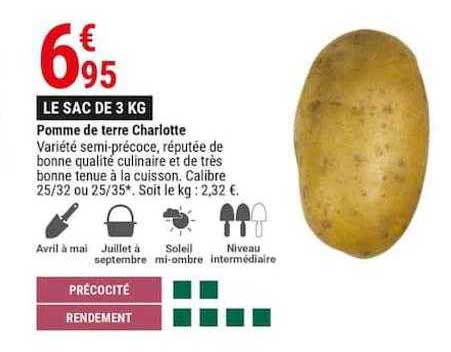 pomme de terre charlotte
