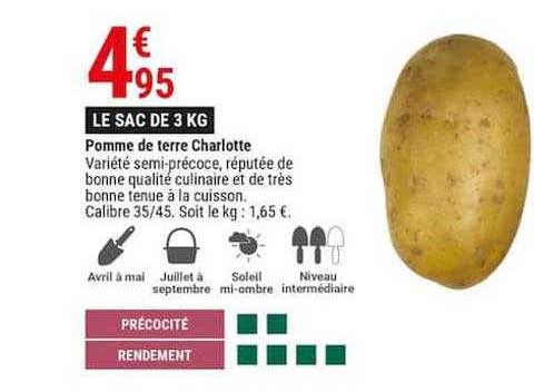 pomme de terre charlotte