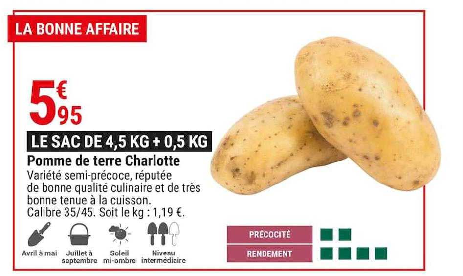 pomme de terre charlotte