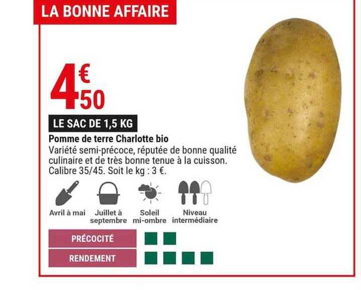 pomme de terre charlotte bio