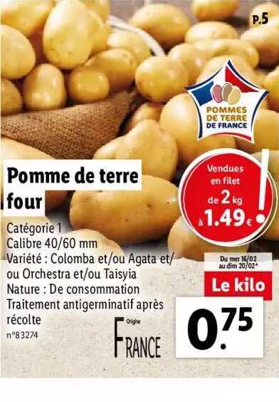 Pomme De Terre Four