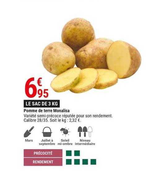 pomme de terre monalisa