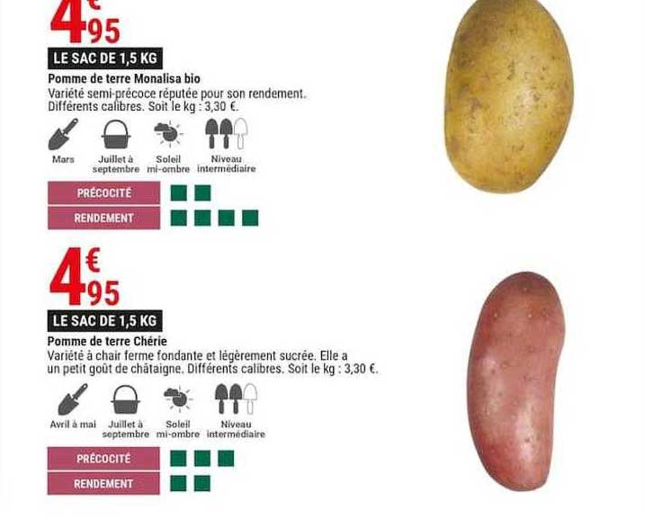 pomme de terre monalisa bio, pomme de terre chérie