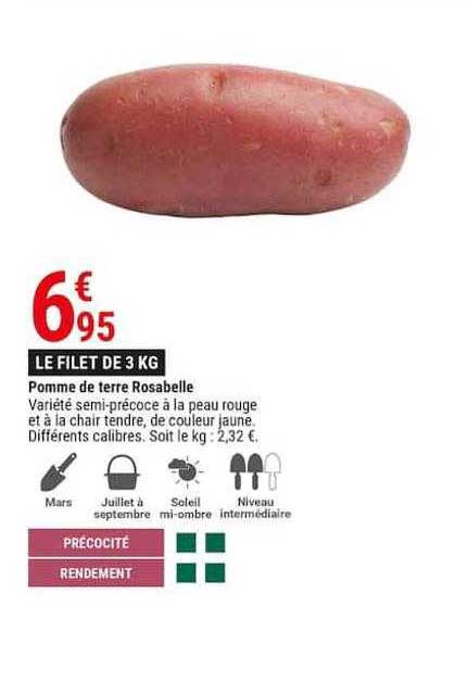 pomme de terre rosabelle