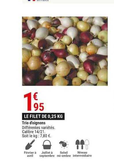 trio d'oignons