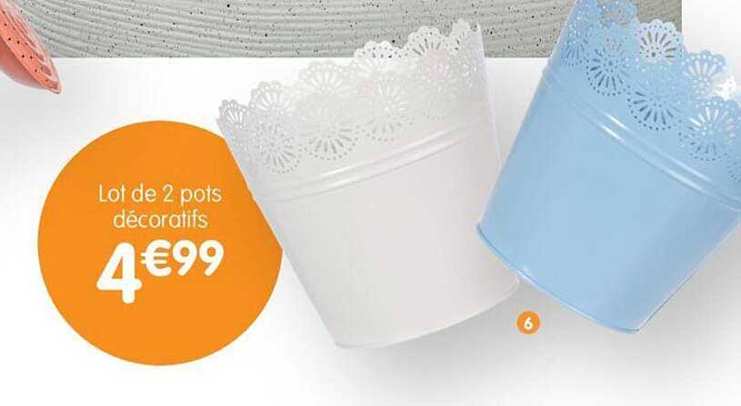 lot de 2 pots décoratifs