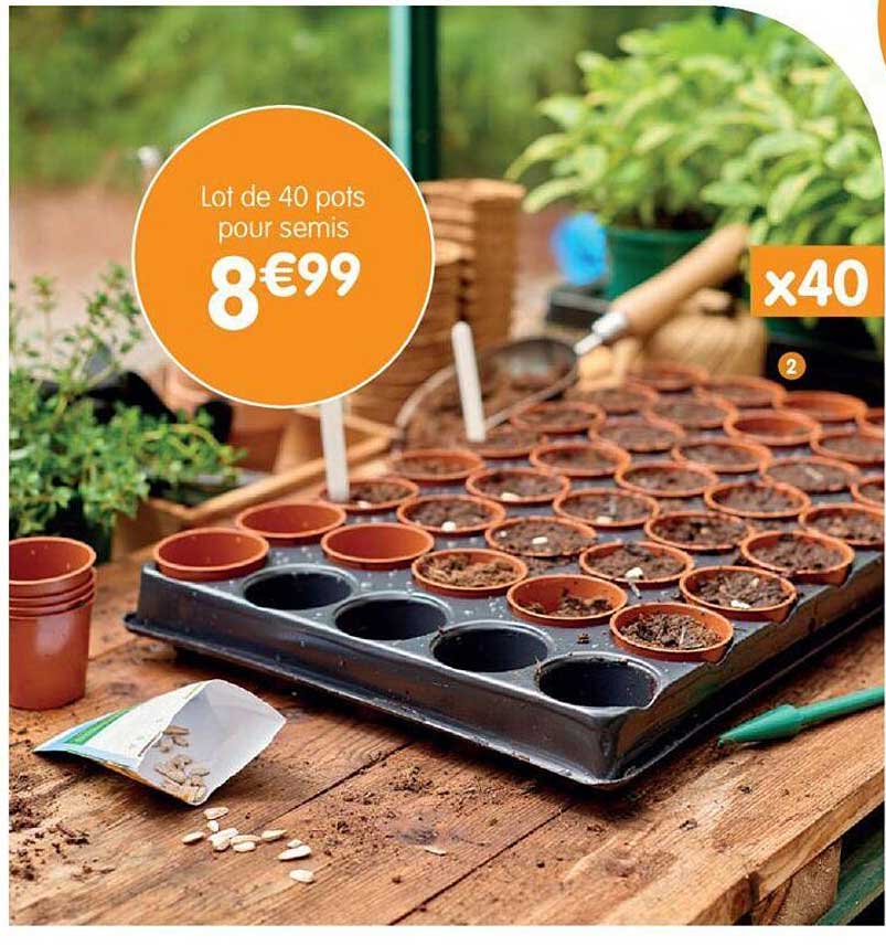 lot de 40 pots pour semis