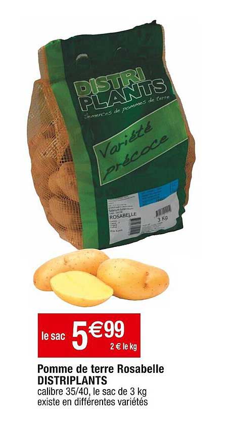 pomme de terre rosabelle distriplants