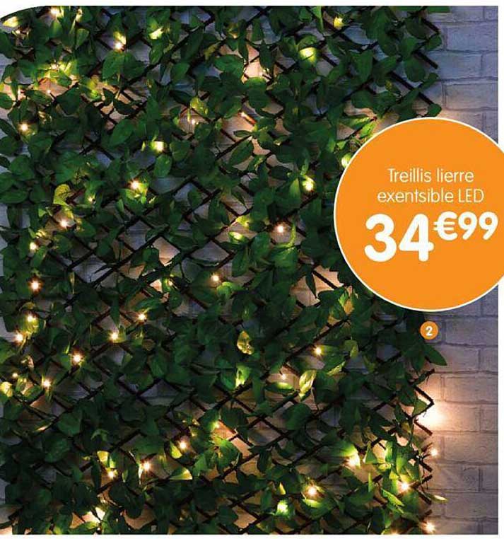 treillis lierre exentsible led